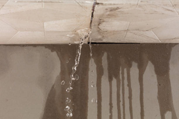 Professional Water Extraction technician working in Bailey, NC
